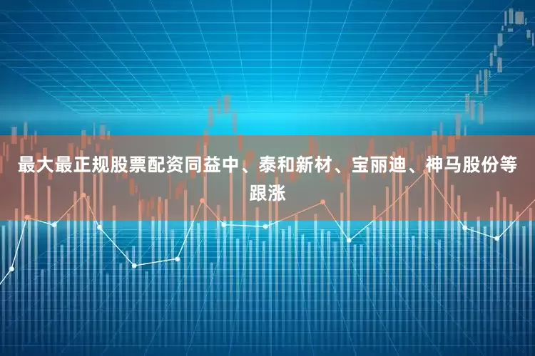 最大最正规股票配资同益中、泰和新材、宝丽迪、神马股份等跟涨