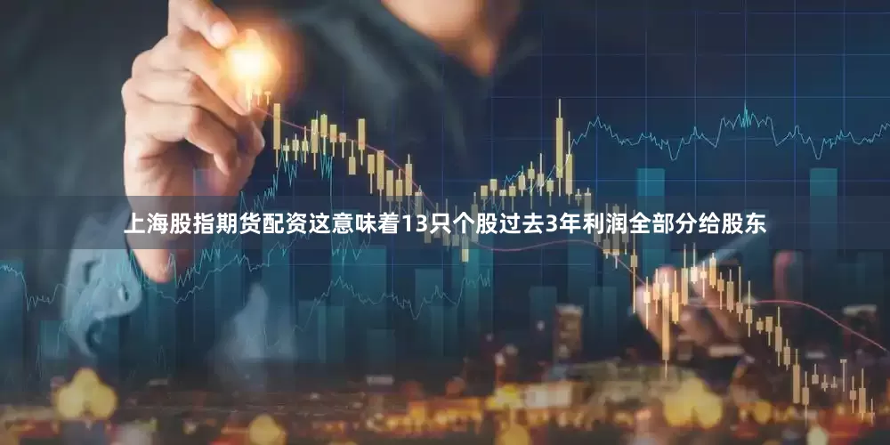 上海股指期货配资这意味着13只个股过去3年利润全部分给股东